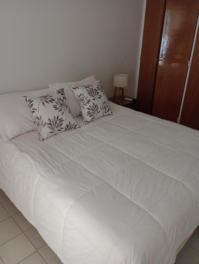 Departamento Belgrano Apartment เมนโดซา ภายนอก รูปภาพ